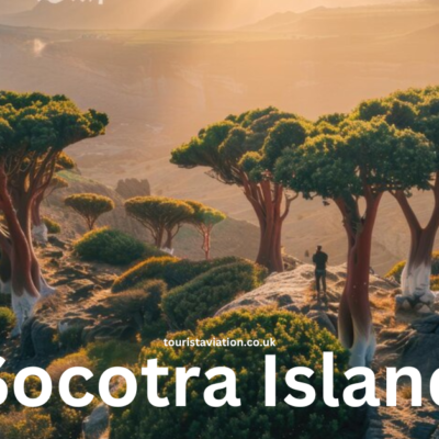 Exploring Socotra Island A Comprehensive Travel Guide