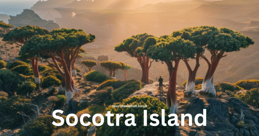 Exploring Socotra Island A Comprehensive Travel Guide