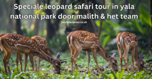 Speciale leopard safari tour in yala national park door malith & het team