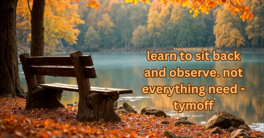 Learn to sit back and observe. not everything need – tymoff