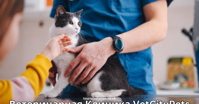 Care for Your Pets at Ветеринарная Клиника VetCityPets Health Services